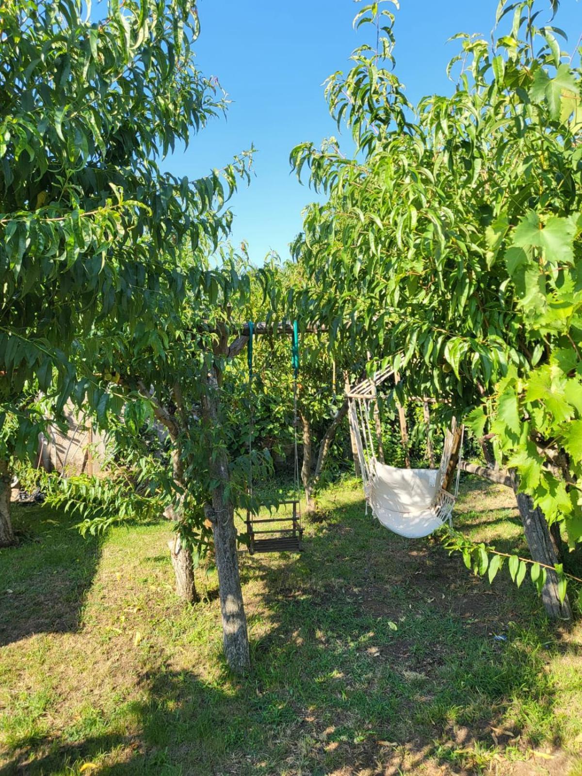 Vila Hipo Венус Екстериор снимка